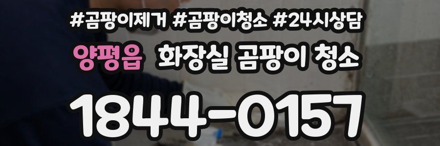양평읍 화장실 곰팡이 청소