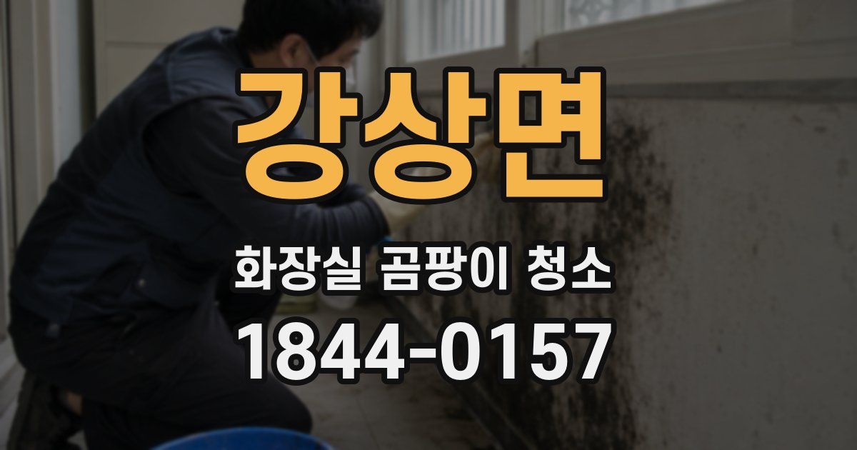 강상면 화장실 곰팡이 청소
