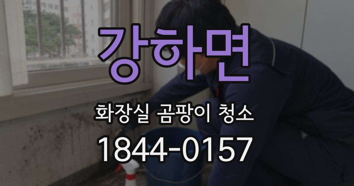 강하면 화장실 곰팡이 청소