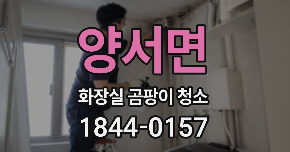 양서면 화장실 곰팡이 청소
