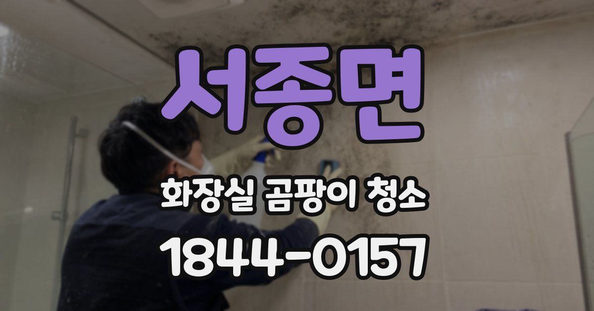 서종면 화장실 곰팡이 청소