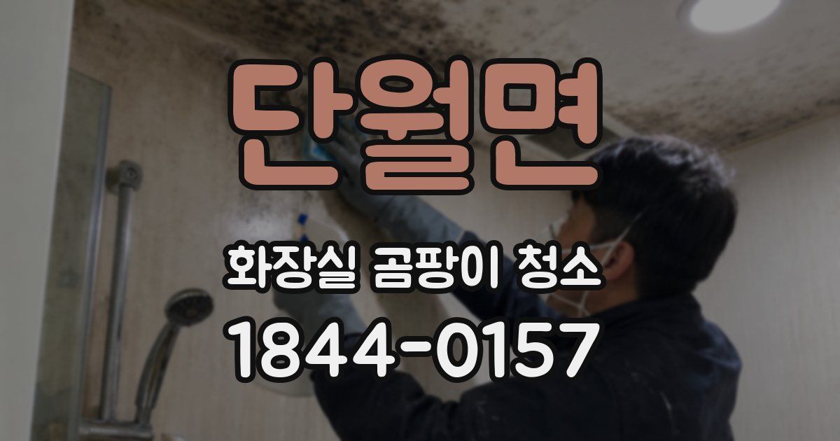 단월면 화장실 곰팡이 청소