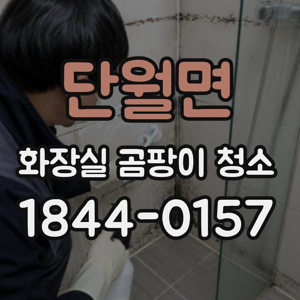 단월면 화장실 곰팡이 청소