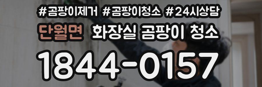 단월면 화장실 곰팡이 청소