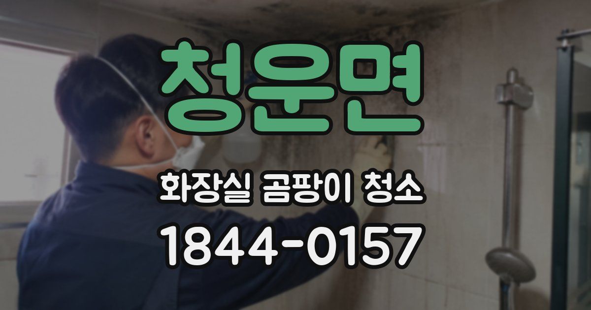 청운면 화장실 곰팡이 청소