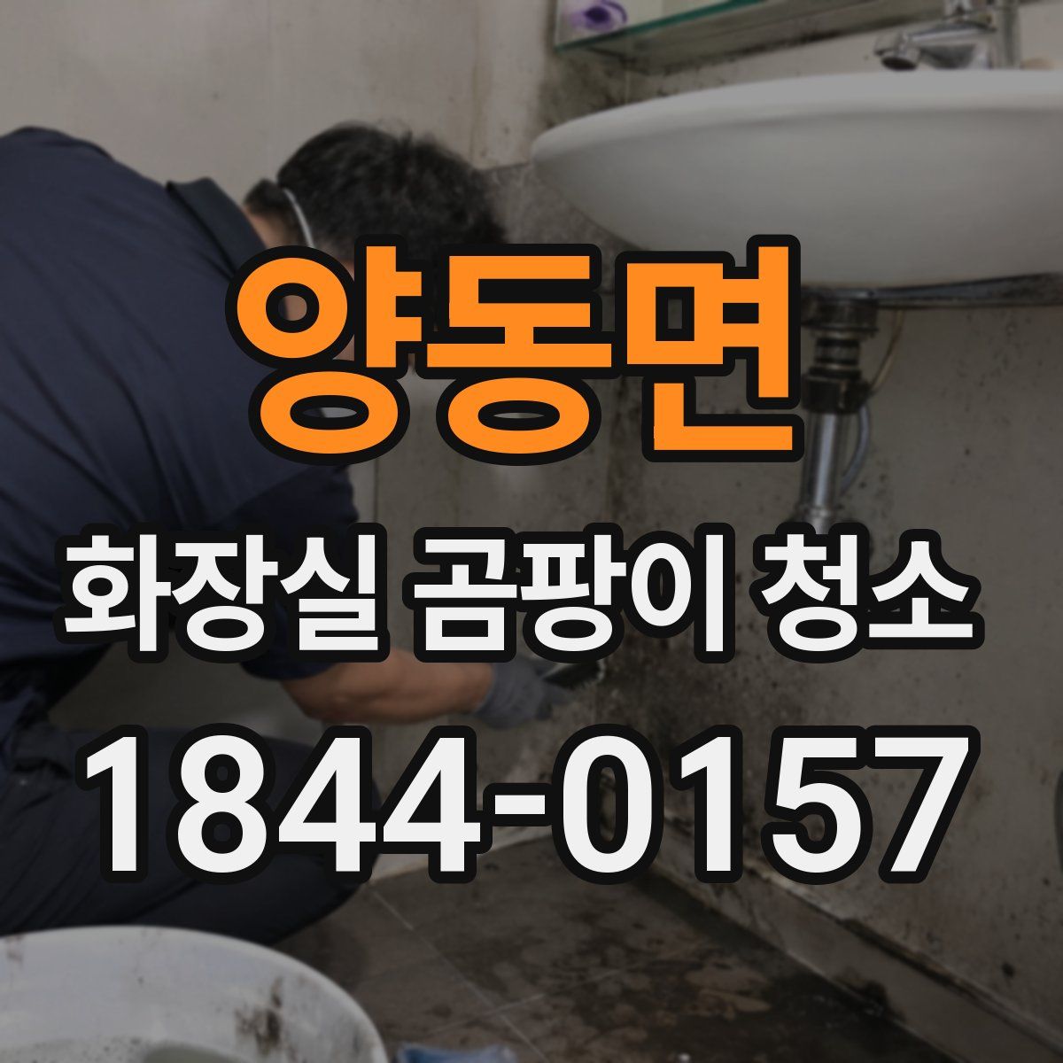 양동면 화장실 곰팡이 청소