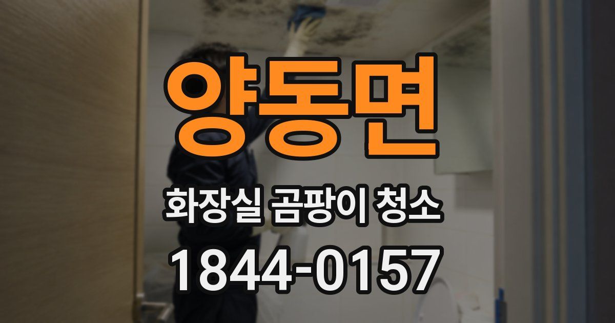 양동면 화장실 곰팡이 청소