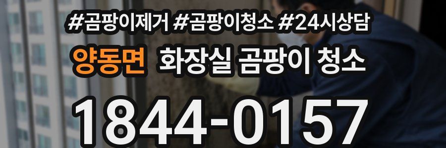 양동면 화장실 곰팡이 청소