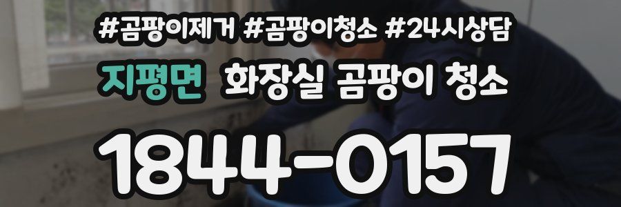 지평면 화장실 곰팡이 청소