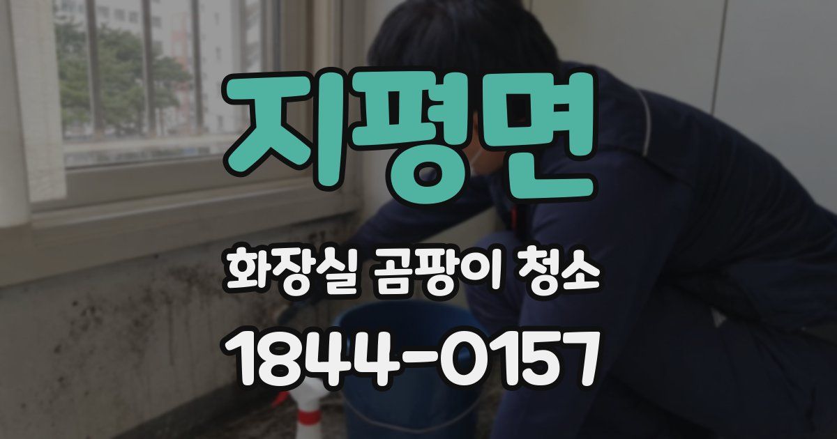 지평면 화장실 곰팡이 청소