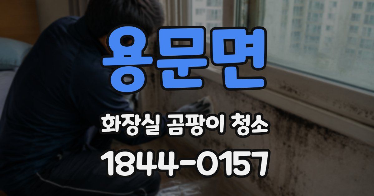 용문면 화장실 곰팡이 청소