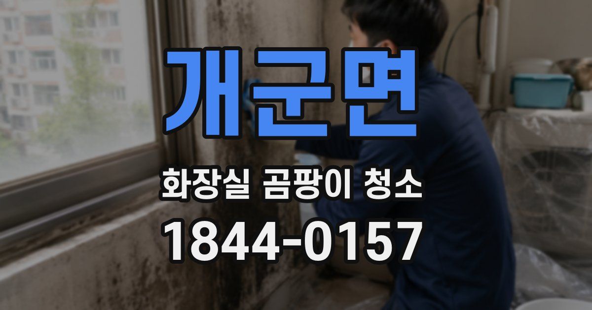 개군면 화장실 곰팡이 청소