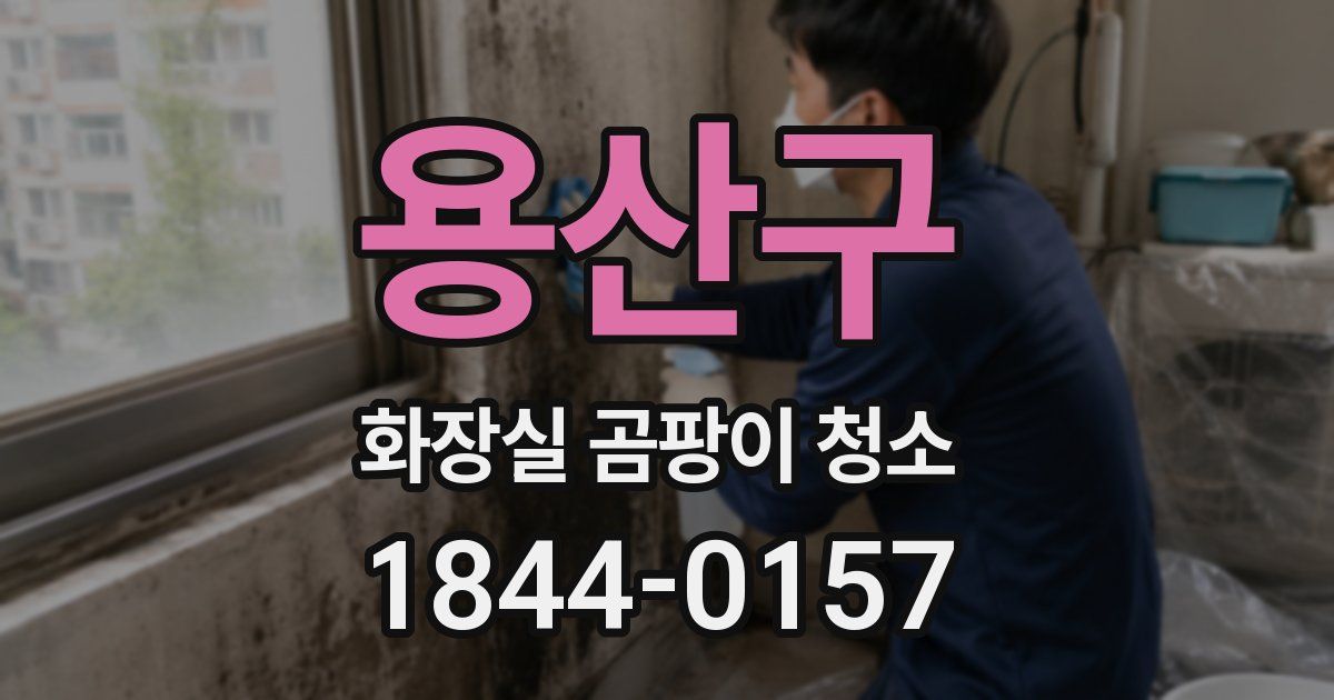 용산구 화장실 곰팡이 청소
