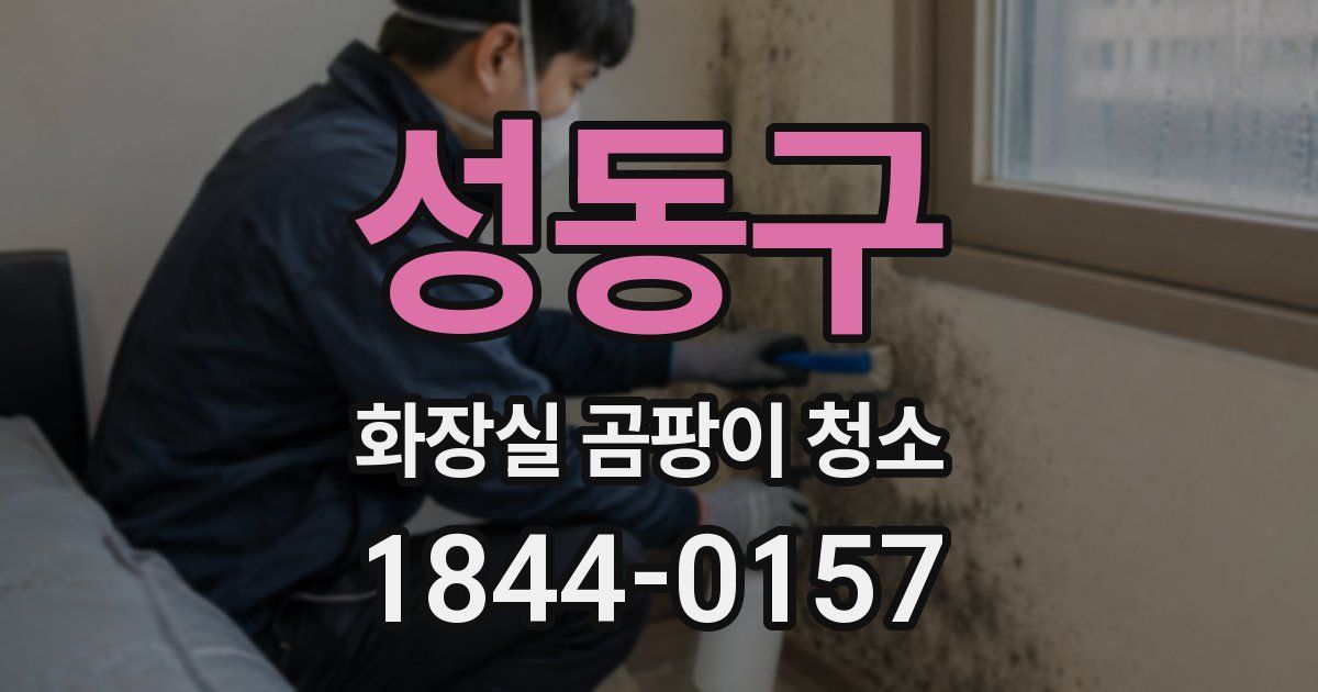 성동구 화장실 곰팡이 청소