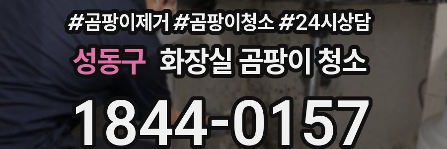 성동구 화장실 곰팡이 청소