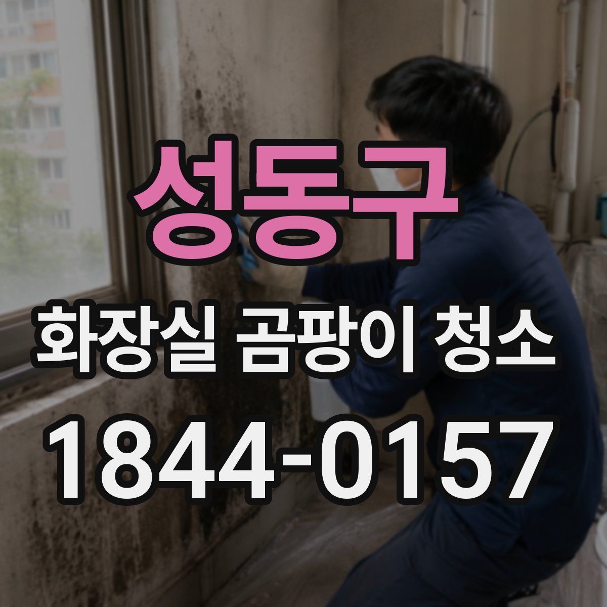 성동구 화장실 곰팡이 청소