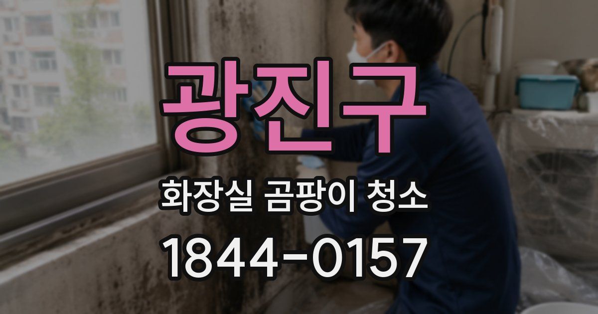 광진구 화장실 곰팡이 청소