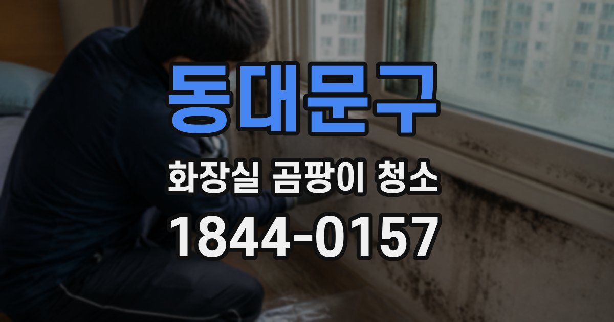 동대문구 화장실 곰팡이 청소