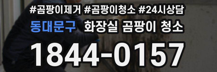 동대문구 화장실 곰팡이 청소