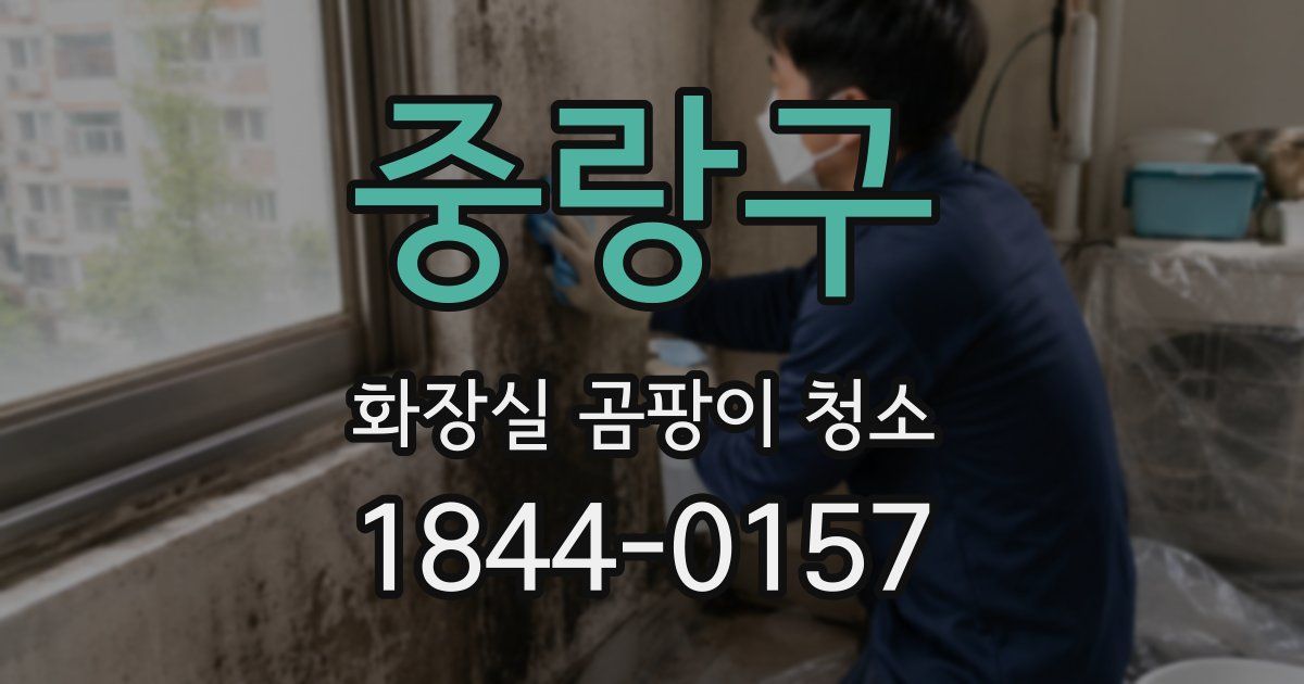 중랑구 화장실 곰팡이 청소