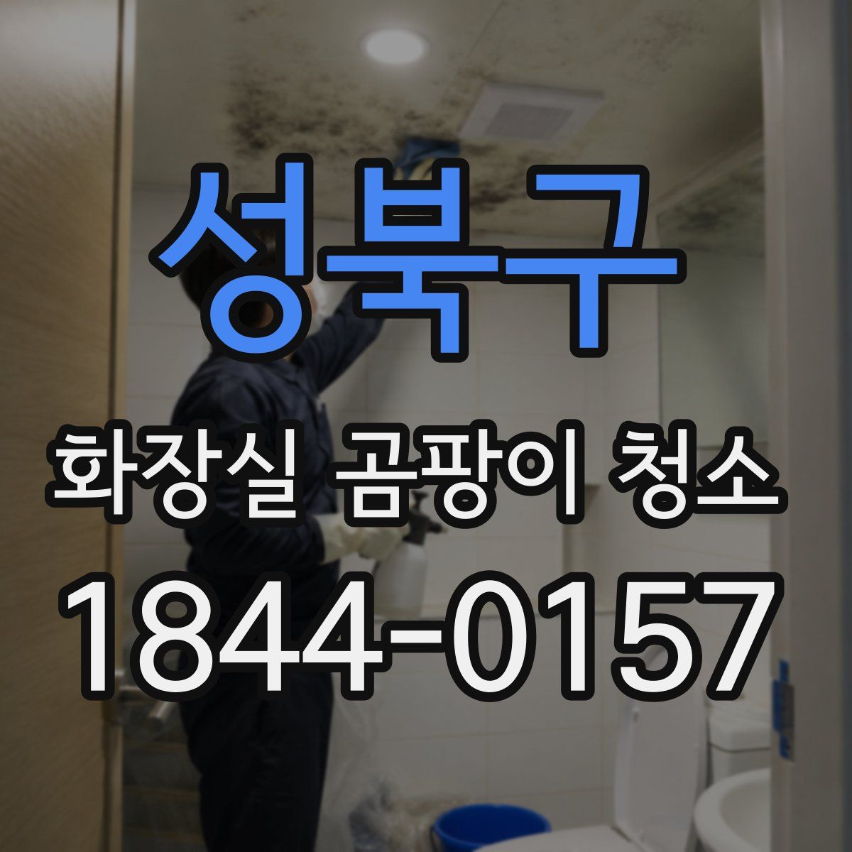 성북구 화장실 곰팡이 청소