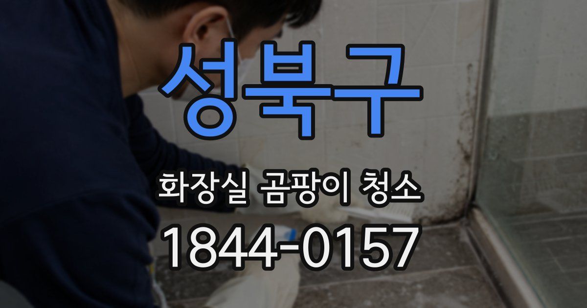 성북구 화장실 곰팡이 청소