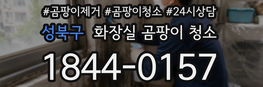 성북구 화장실 곰팡이 청소