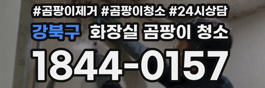 강북구 화장실 곰팡이 청소