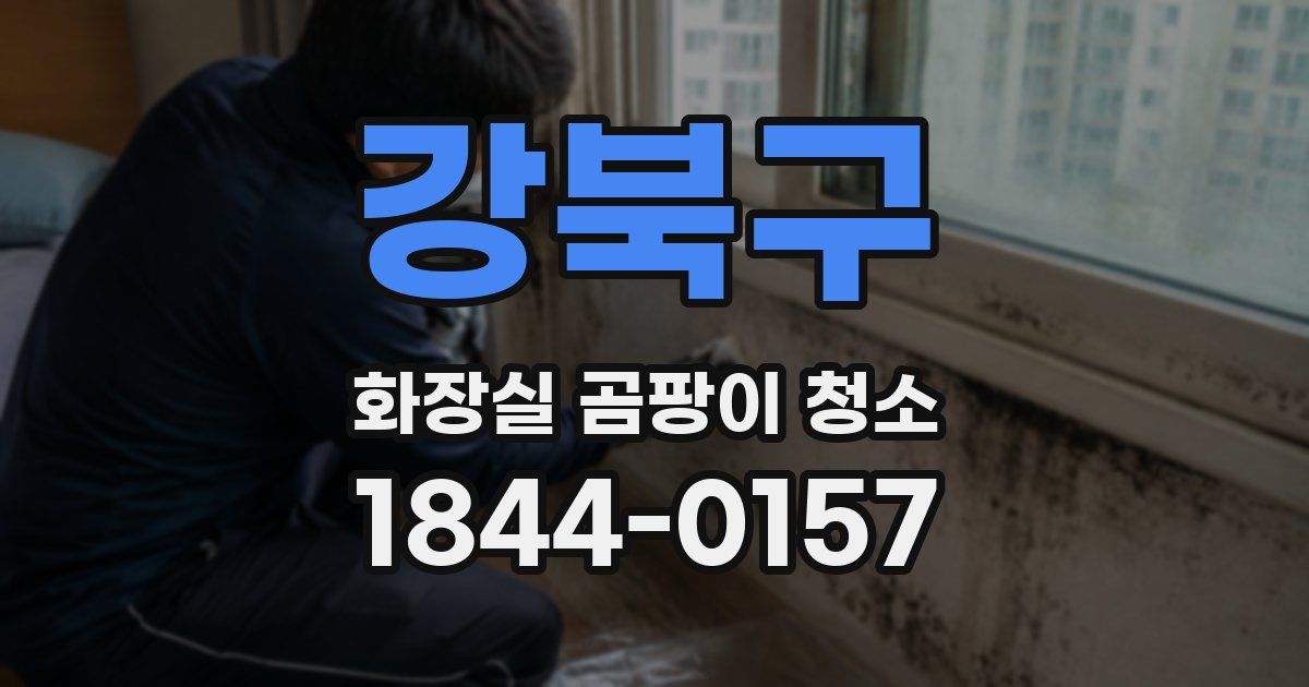 강북구 화장실 곰팡이 청소
