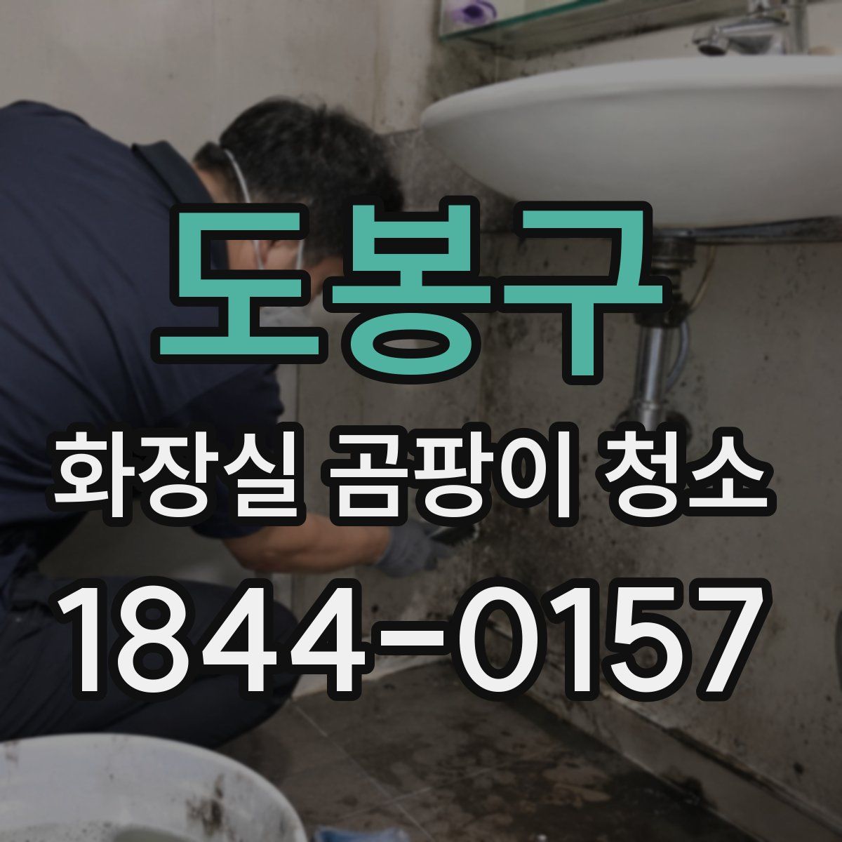 도봉구 화장실 곰팡이 청소