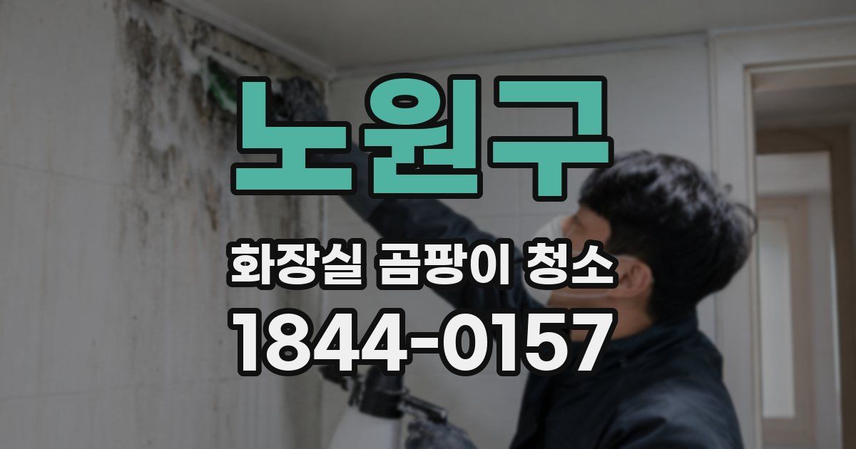 노원구 화장실 곰팡이 청소