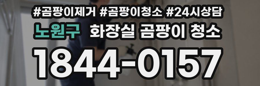 노원구 화장실 곰팡이 청소