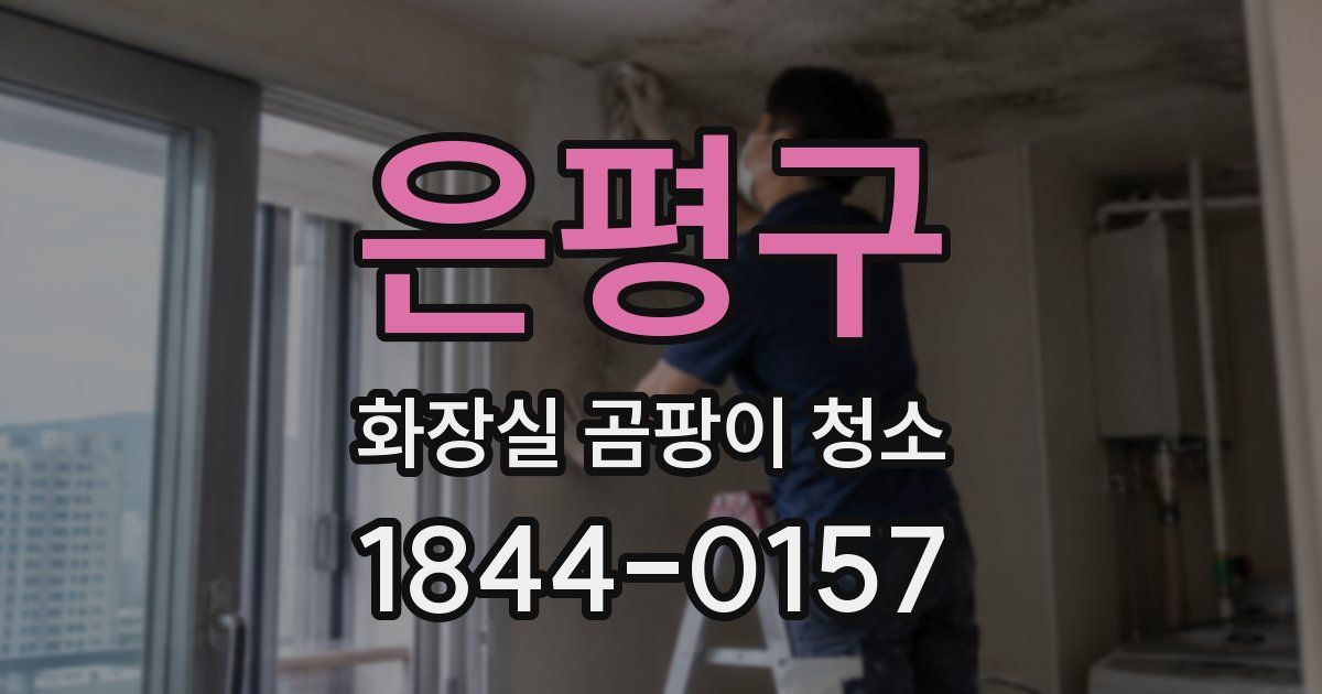 은평구 화장실 곰팡이 청소