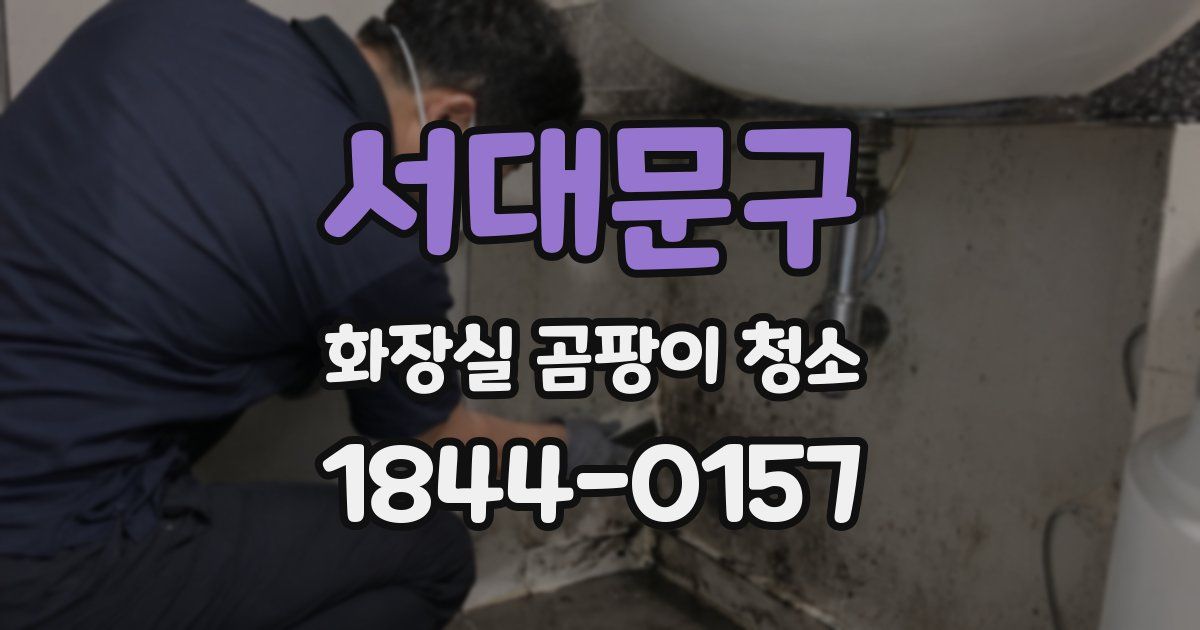 서대문구 화장실 곰팡이 청소
