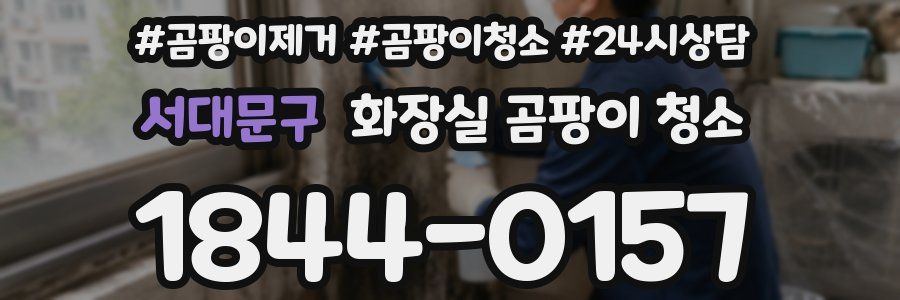 서대문구 화장실 곰팡이 청소