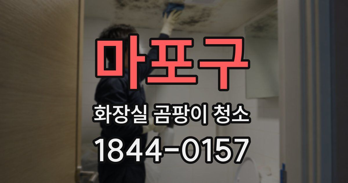 마포구 화장실 곰팡이 청소