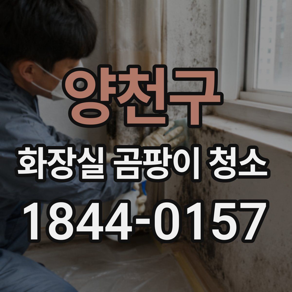 양천구 화장실 곰팡이 청소