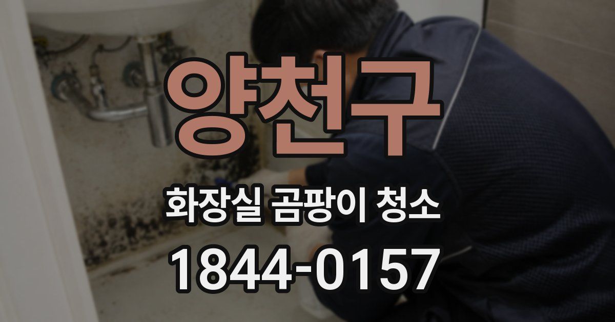 양천구 화장실 곰팡이 청소