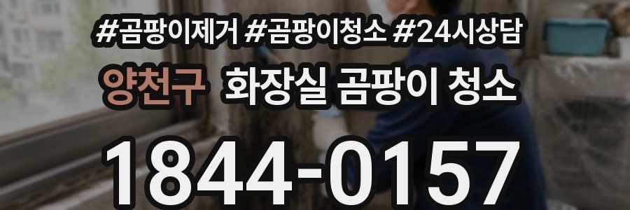 양천구 화장실 곰팡이 청소