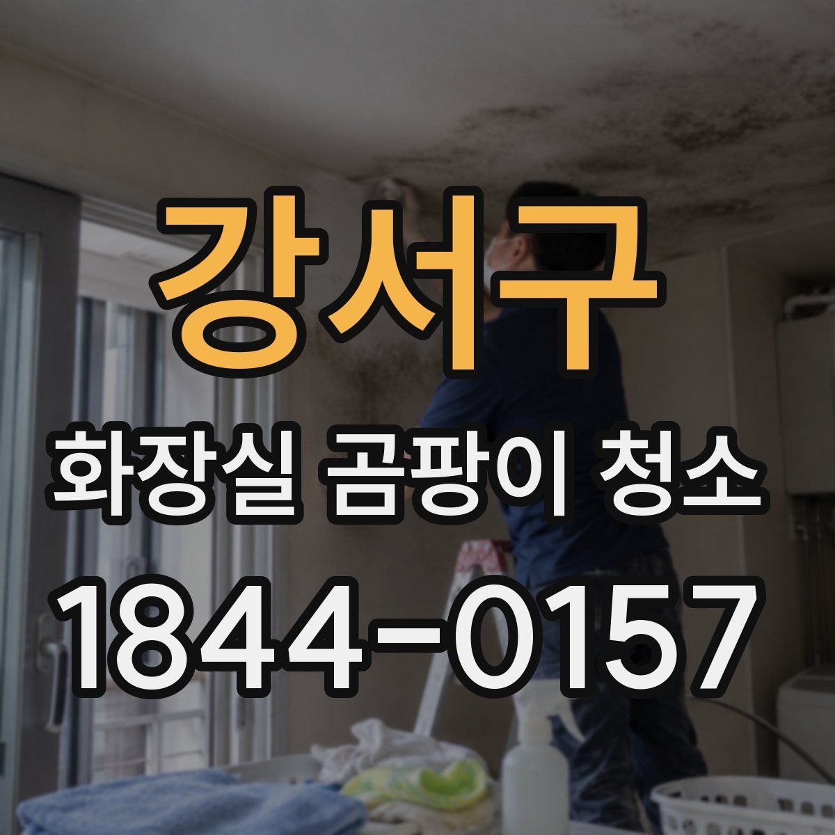 강서구 화장실 곰팡이 청소