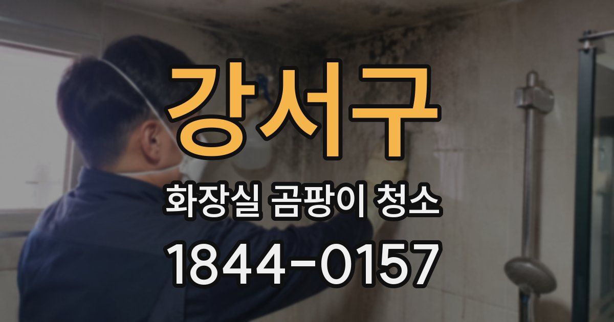 강서구 화장실 곰팡이 청소