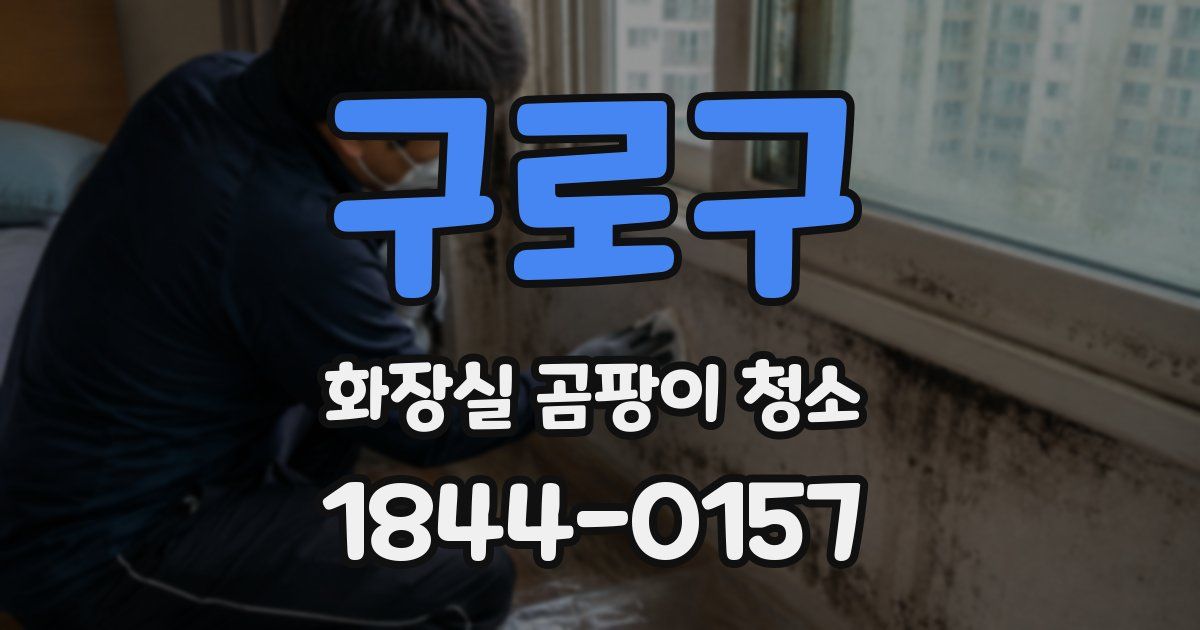 구로구 화장실 곰팡이 청소