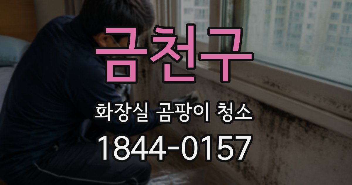 금천구 화장실 곰팡이 청소