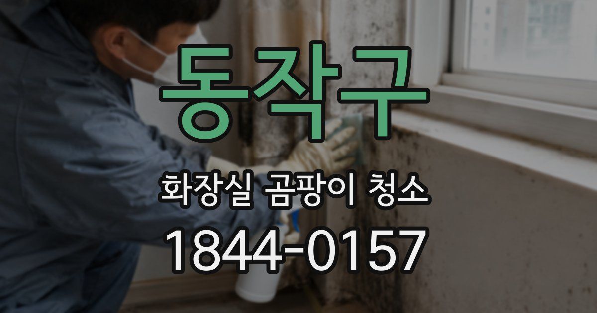 동작구 화장실 곰팡이 청소