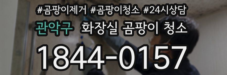 관악구 화장실 곰팡이 청소