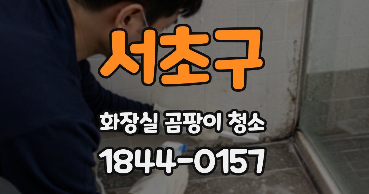서초구 화장실 곰팡이 청소