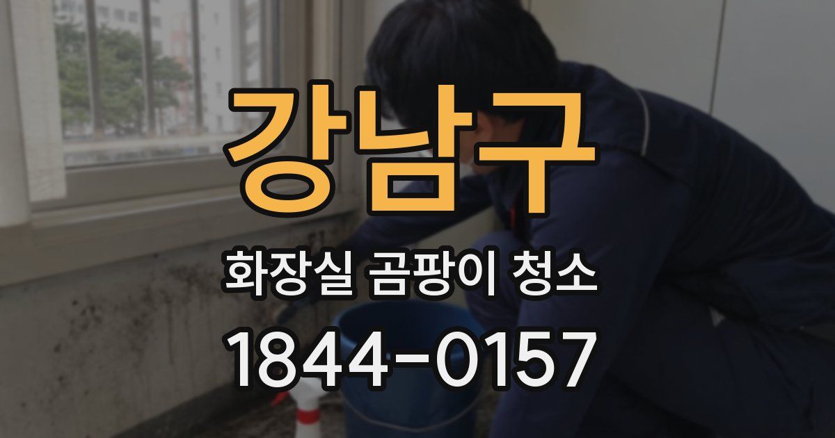 강남구 화장실 곰팡이 청소