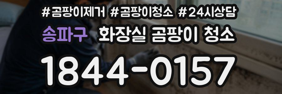 송파구 화장실 곰팡이 청소