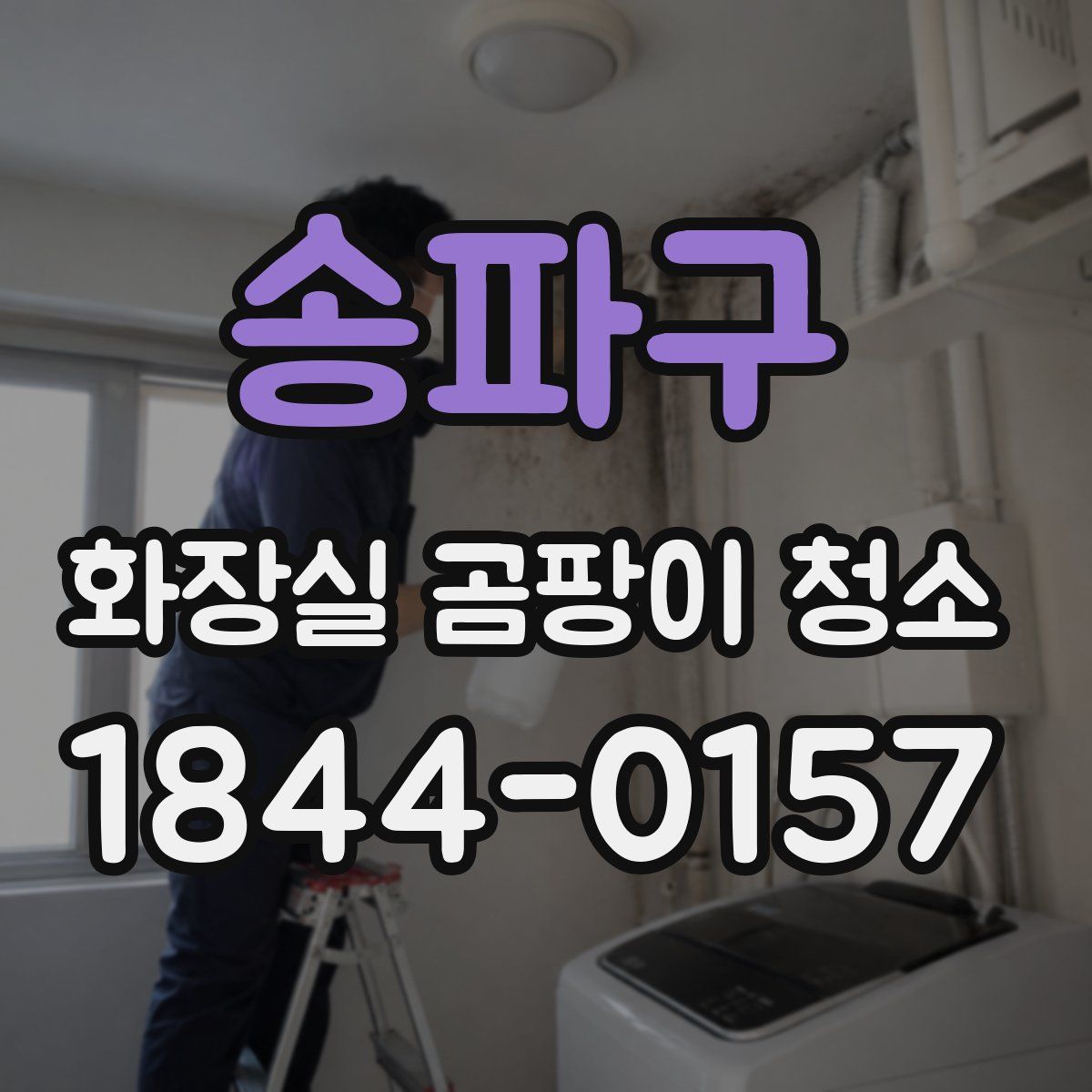 송파구 화장실 곰팡이 청소