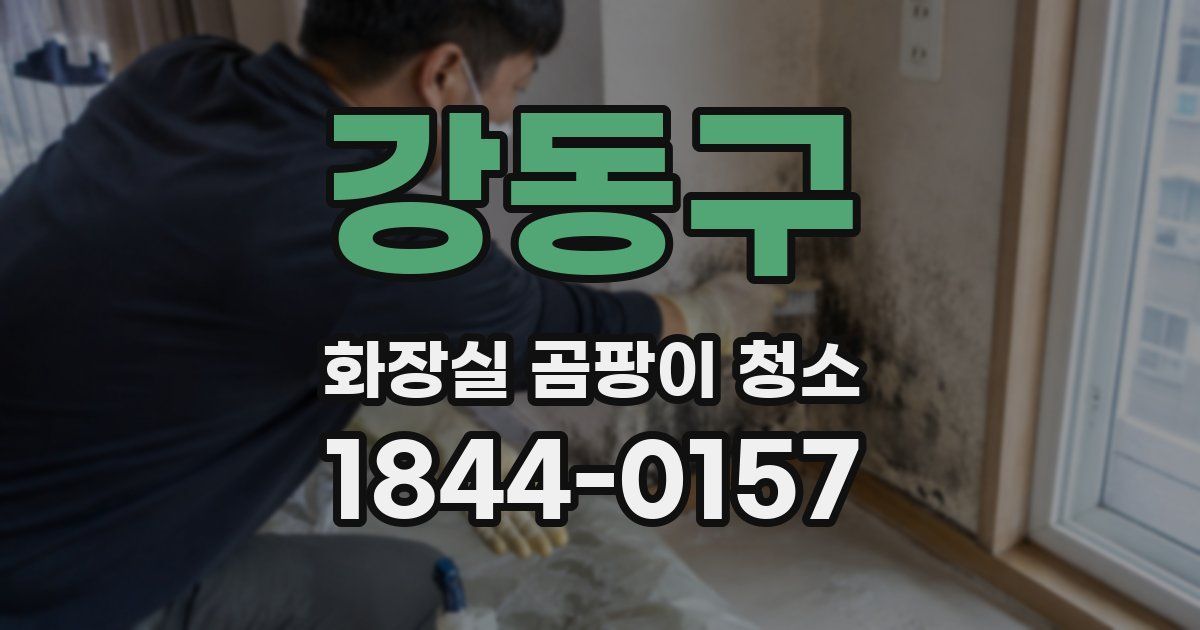 강동구 화장실 곰팡이 청소